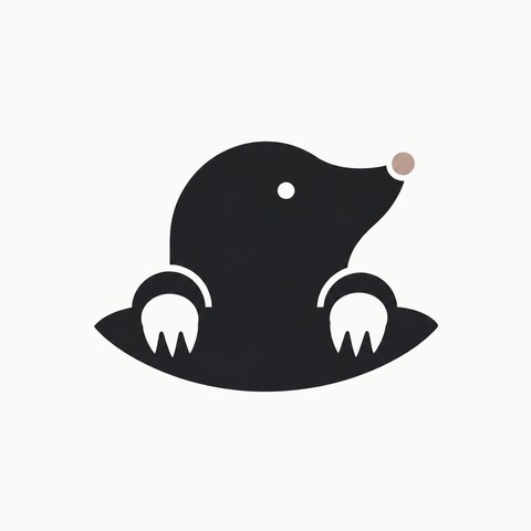 Farady logo